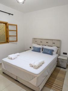 Oasis Villa