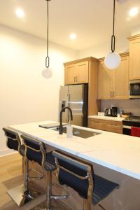 Luxury Home in Downtown Houston!