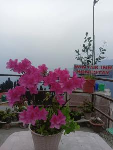 Winter Inn Homestay