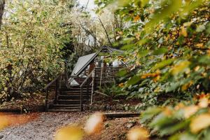 Chambre avec jacuzzi ou Chalets dans les bois