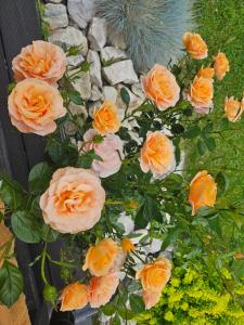 Willa Spokojne Wzgórze