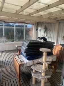 Cozy room and rooms in a town