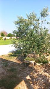 Casa Vacanze 9 Cavalieri