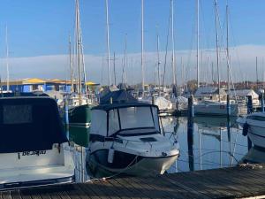 Apartment in Porto Santa Margherita 48300