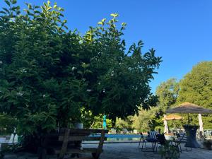 Lodges Natural castle : photos des chambres