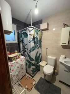 Apartman Strahinja