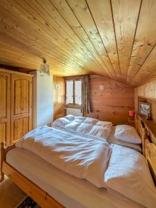 Havre de paix aux Diablerets - chalet privé