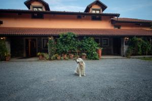 Green Escape garni hotel