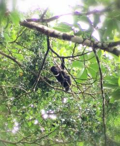 Mini reserva La Naciente Mi casa es tu casa