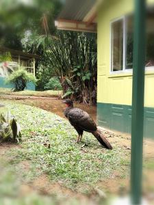 Mini reserva La Naciente Mi casa es tu casa