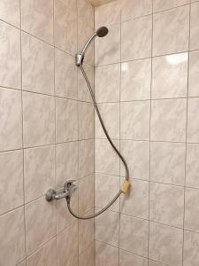 Apartmans and ROOMS with PARKING Turgenevova - Olomoucka