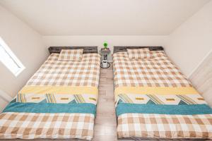 Private 3 Bedroom House with Free Parking Near Asakusa and Skytree