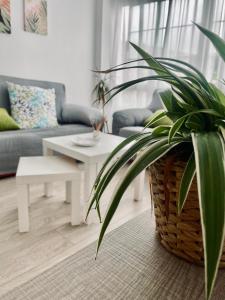 Apartamentos Alborada en Corcubión
