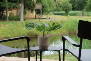 De Parel - Mystical spaces to discover!