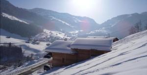 Chalets Gite Les Tarines 2 : photos des chambres