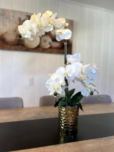 Beautiful duplex near the beach