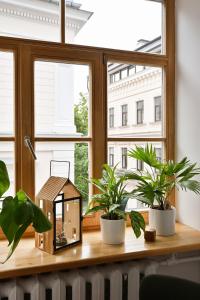 Historic Old Riga apartment