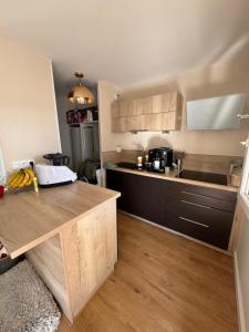 Appartement Saint Cyr sur Loire