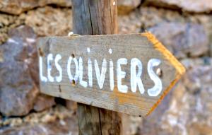 Appartements Les Oliviers : photos des chambres