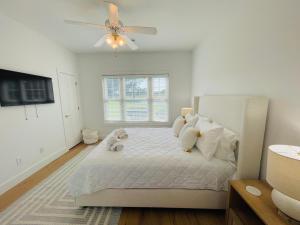 Incredible 2BR condo in the center of MB