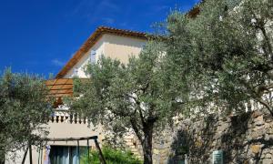 Appartements Les Oliviers : photos des chambres