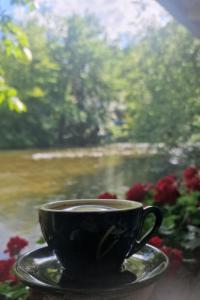 Pensiunea Casa Dimitrios-Baile Herculane -Casă Boemă cu vedere la munte apă atmosferă intimă