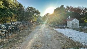 The Root House - Crete Stay