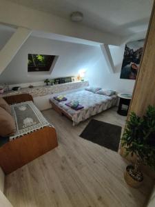 Apartment Capital Town NS