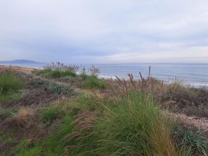 Apartamento Mario III