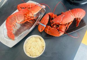 La bulle des coucous