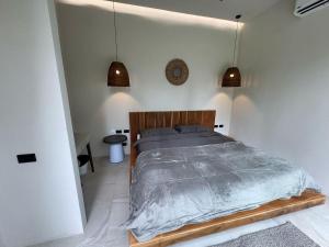 Beautiful villa with pool