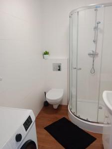 Mieszkanie na Wygodzie M5-parking free