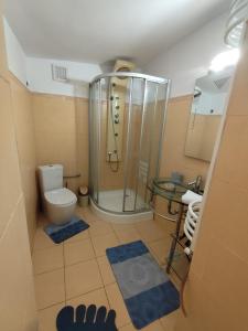 Summer Oasis in Constanta