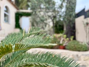 Villas Villa Tino - SCLS Locations : photos des chambres