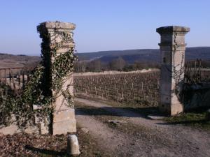 Maisons de vacances Gite l-Oree du Chateau Beaune-Vignoles : photos des chambres
