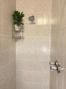 Berg Escape Kiepersol - Spacious Luxury Family Home