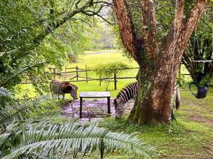 Berg Escape Kiepersol - Spacious Luxury Family Home