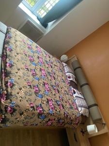 Appartements Residence Albert 1e : photos des chambres