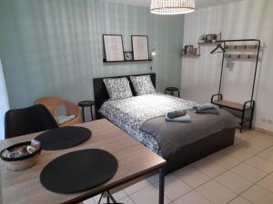 Appartements Studio calme dans une belle residence avec piscine • Parking • WiFi : photos des chambres
