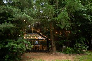 Baśnie z mchu i paproci