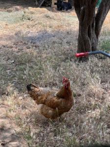 Soulmondo - BnB Dalì