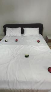 Leo apartaments with sea view
