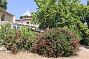 Villas Chateau de Liviere : photos des chambres