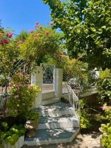 Apartment Milinković 2