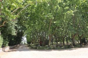 Villas Chateau de Liviere : photos des chambres