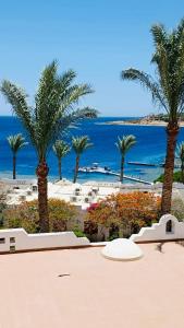 Appartamento Domina Coral Bay