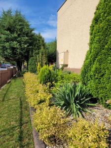 Willa Cynamon Garden
