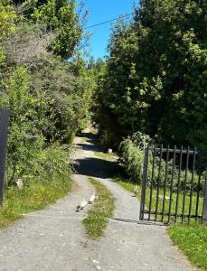 Cabaña Azul - La Herradura