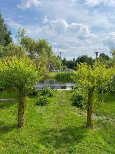 Domek - Sto Krokow Do Jeziora na Kaszubach