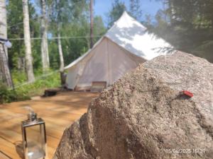 Off-grid forest glamping